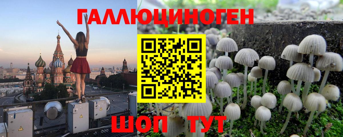 Галлюциногенные грибы Psilocybine cubensis Борисоглебск