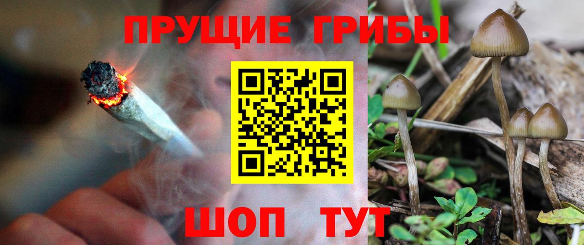 купить  цена  Вход с VPN  Галлюциногенные грибы MAGIC MUSHROOMS  Борисоглебск  Галлюциногенные грибы Magic Shrooms 